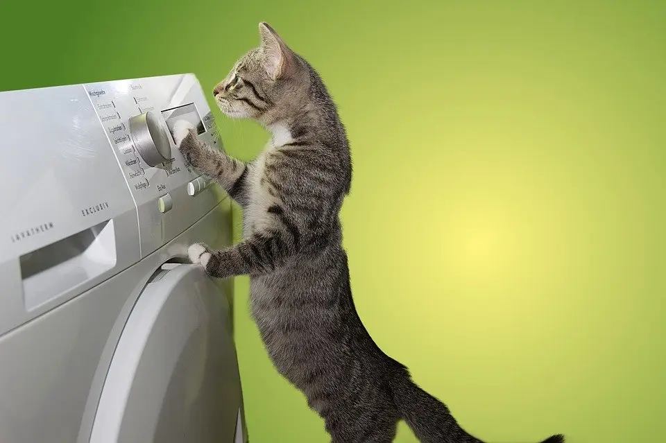 Dryer-Repair--in-El-Centro-California-Dryer-Repair-11445-image