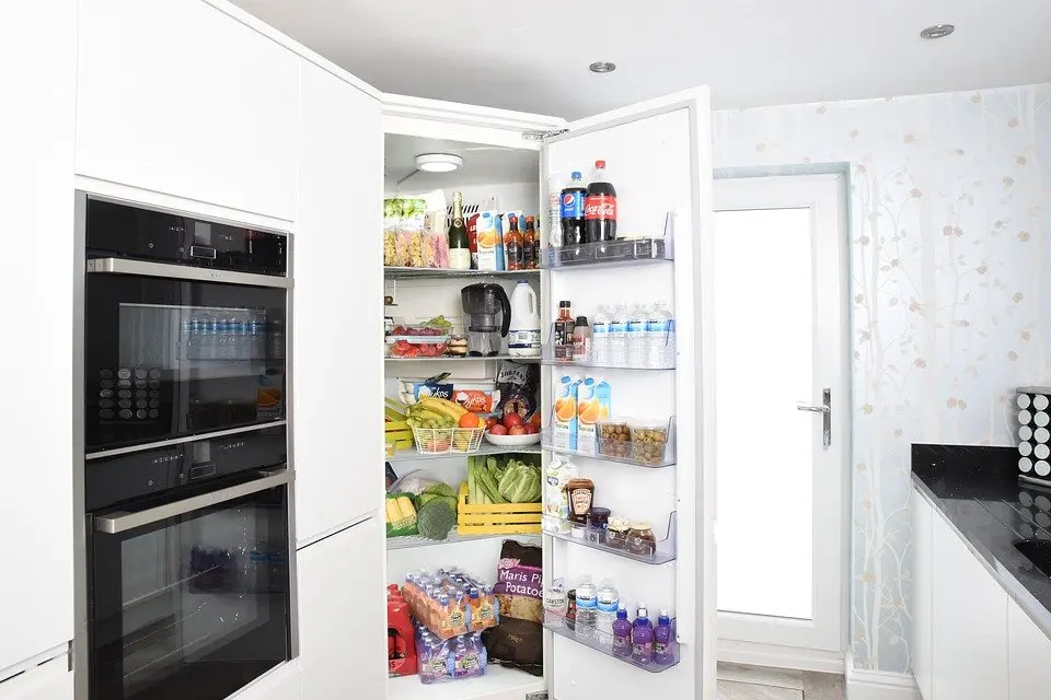 Refrigerator-Repair--in-Essex-California-Refrigerator-Repair-9622-image